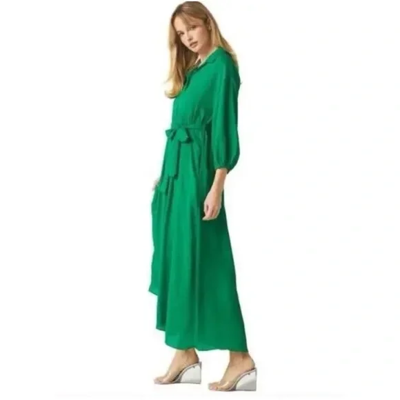Misa Los Angeles Elise Maxi Shirt Dress in Green - Picture 2 of 12